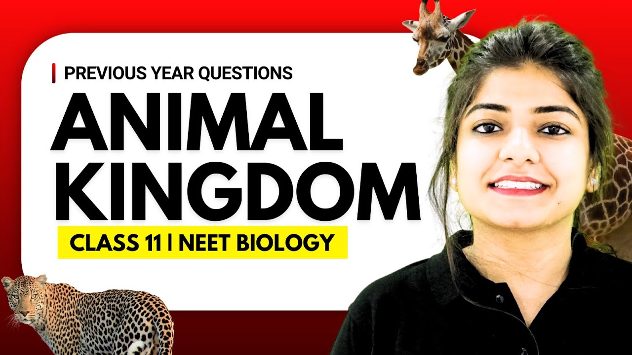 Animal Kingdom | Previous Year Questions | NEET Biology | NEET 2026