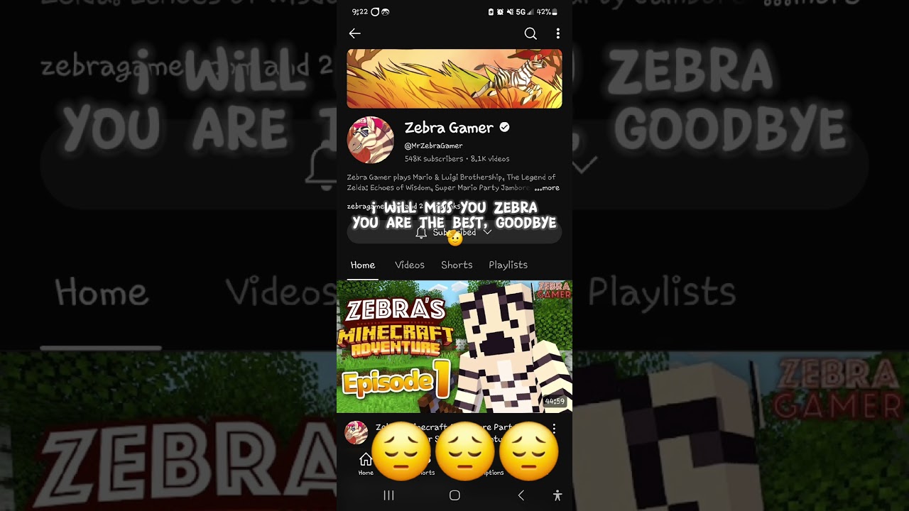 Goodbye @MrZebraGamer