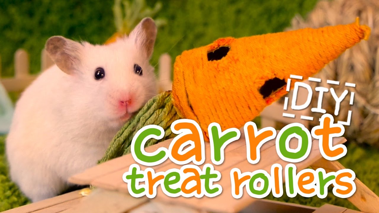 🥕 Carrot Treat Rollers | HAMSTER DIY 🥕