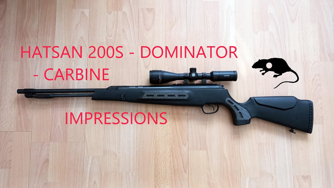 Hatsan Dominator Rifle First Shoot #shoot