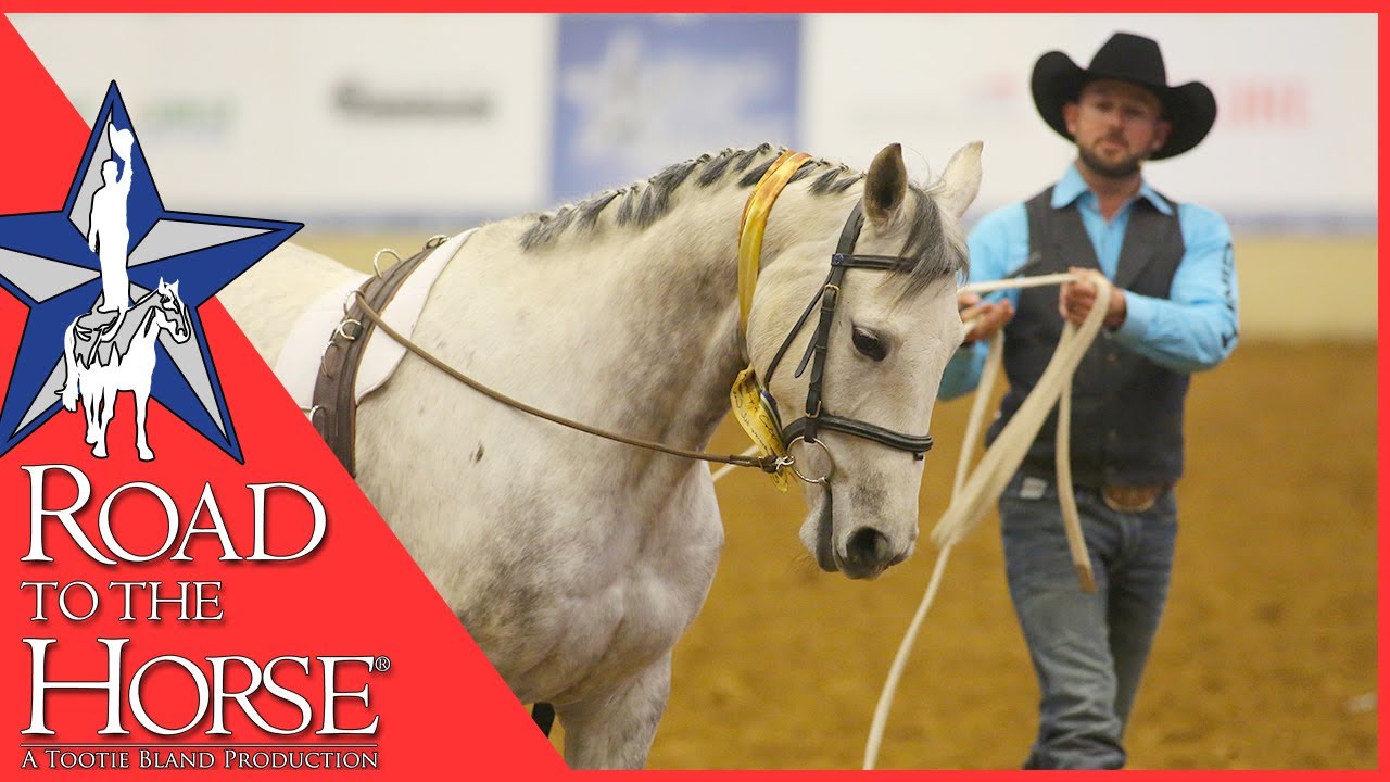 Road to the Horse 2017 - Extra Footage - Dan James Clinic