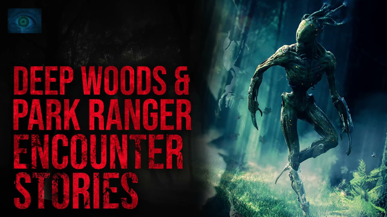 SCARY DEEP WOODS AND PARK RANGER STORIES - HORROR STORIES OF THE WOODS