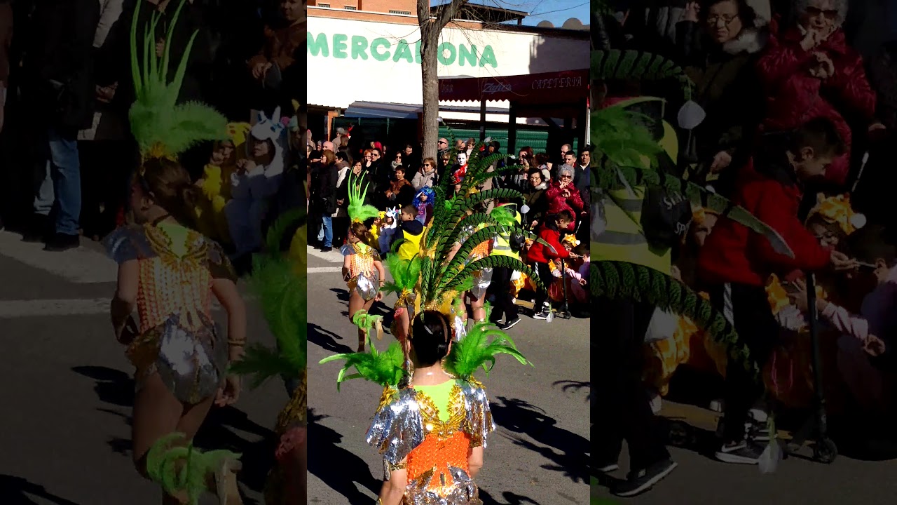 Carnaval torreforta 2018