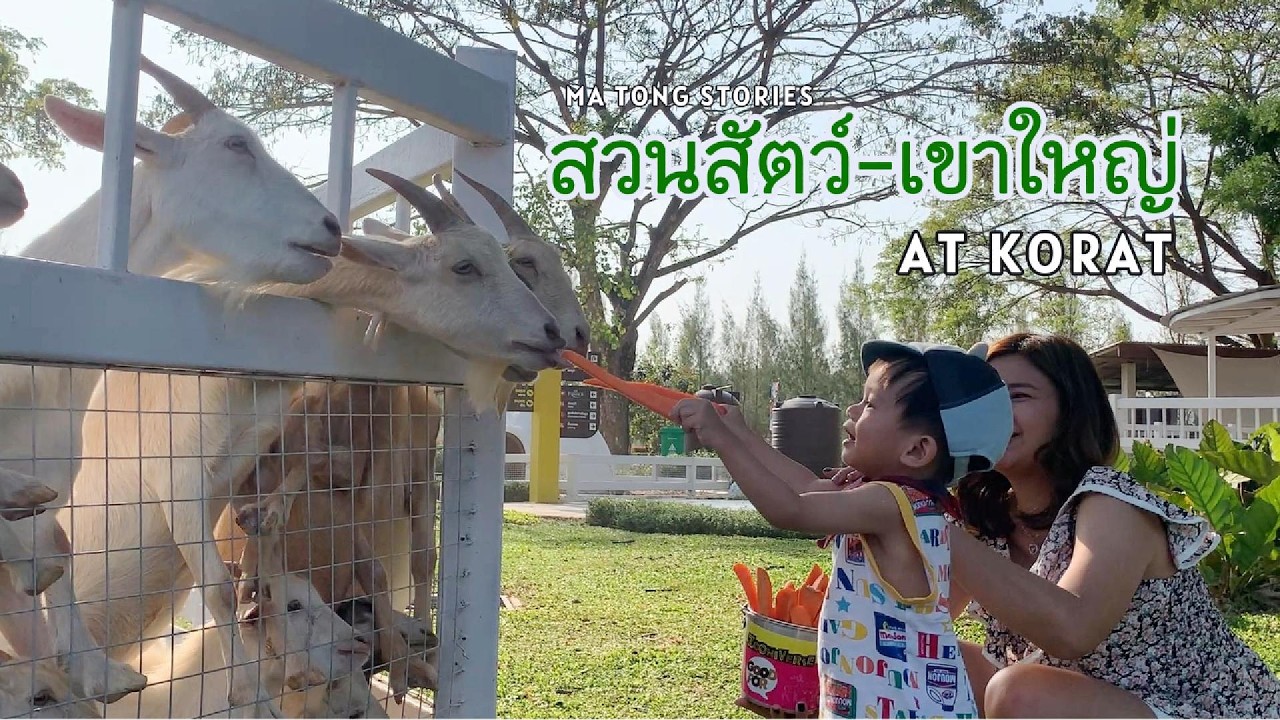 เที่ยวสวนสัตว์และเขาใหญ่ - Matong Stories