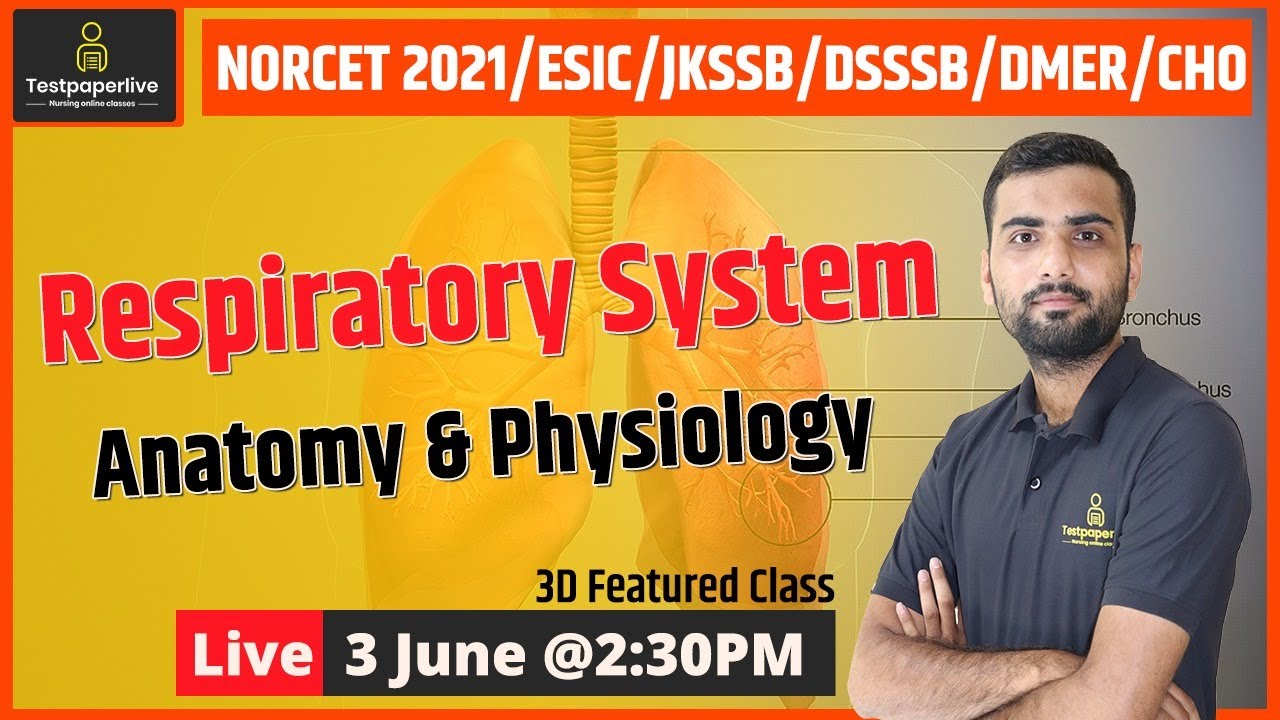 Respiratory System | Anatomy & Physiology | HP NHM, DMER Staff Nurse | Nursing Classes