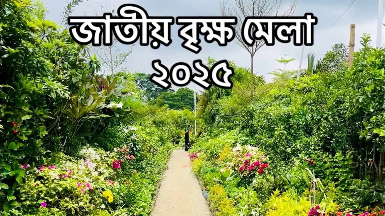 জাতীয় বৃক্ষ মেলা ২০২৫ || Jatiyo Brikkho Mela 2025 | National Tree Fair 2025 | Aqib Asif Trading ||