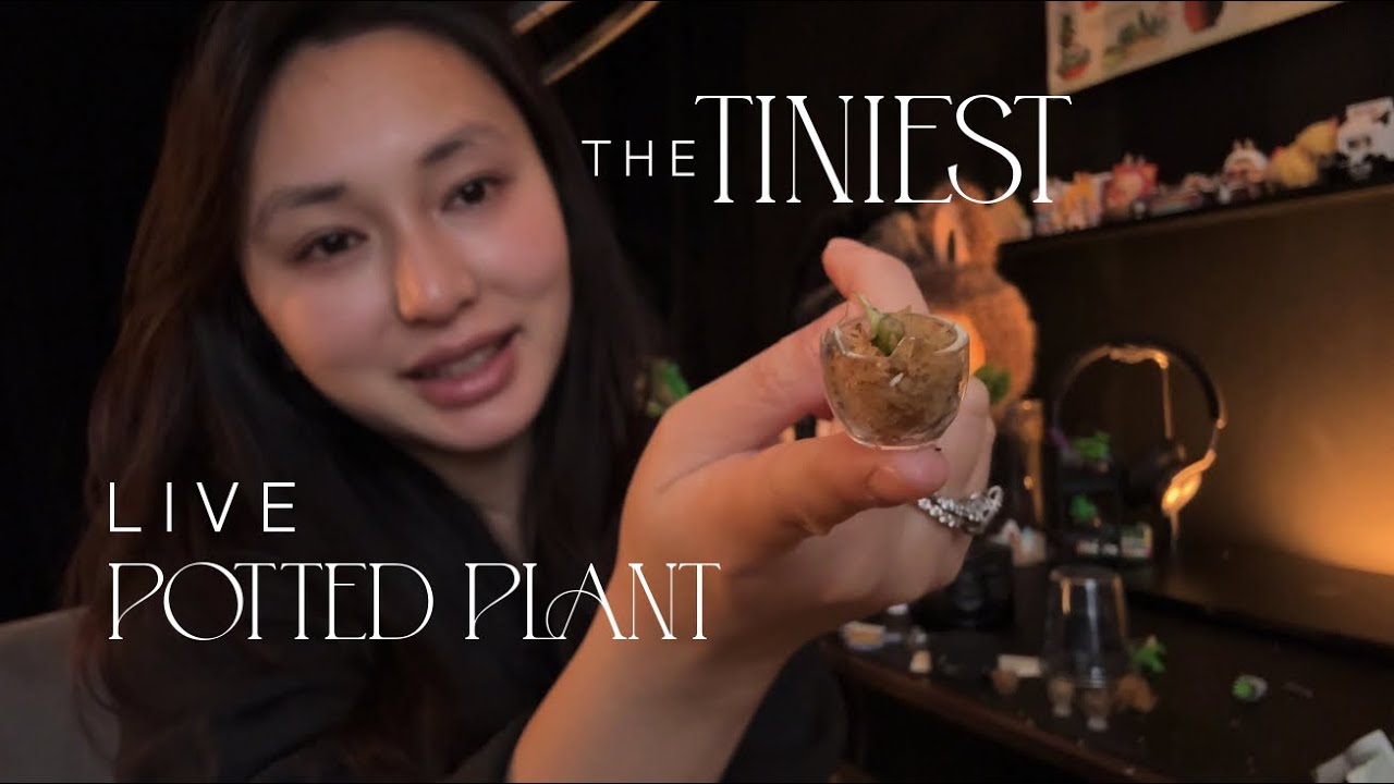 Crafting Time - The TINIEST living plant in pot 