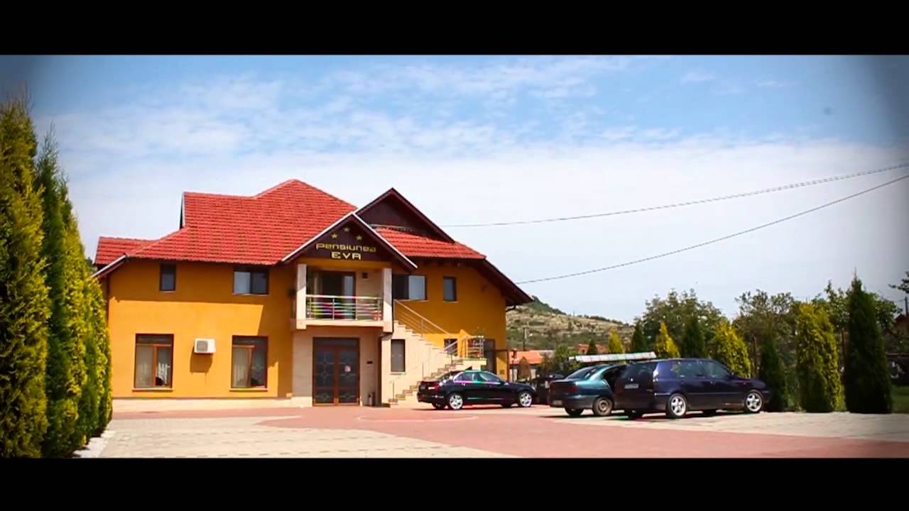 Meleaguri Hunedorene - Soimus