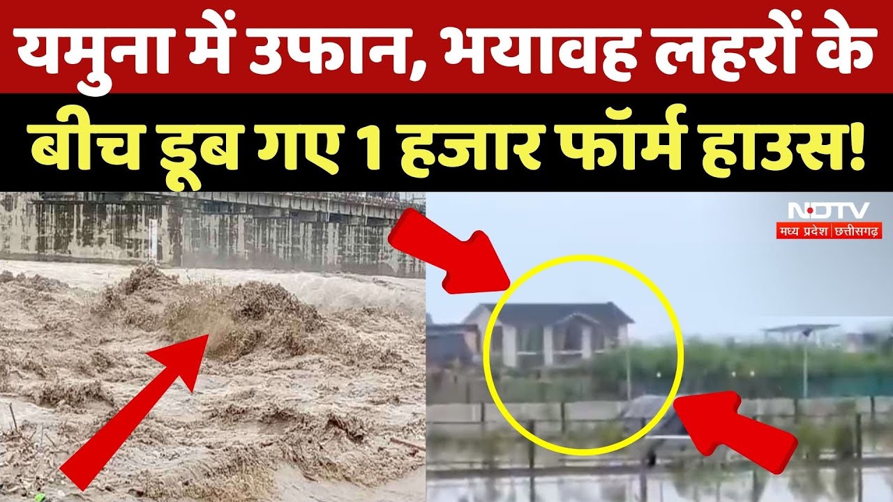 Delhi Flood Alert: Yamuna का रौद्र रूप, डूब गए फॉर्म हाउस! | Heavy Rain in Delhi | Monsoon | Viral