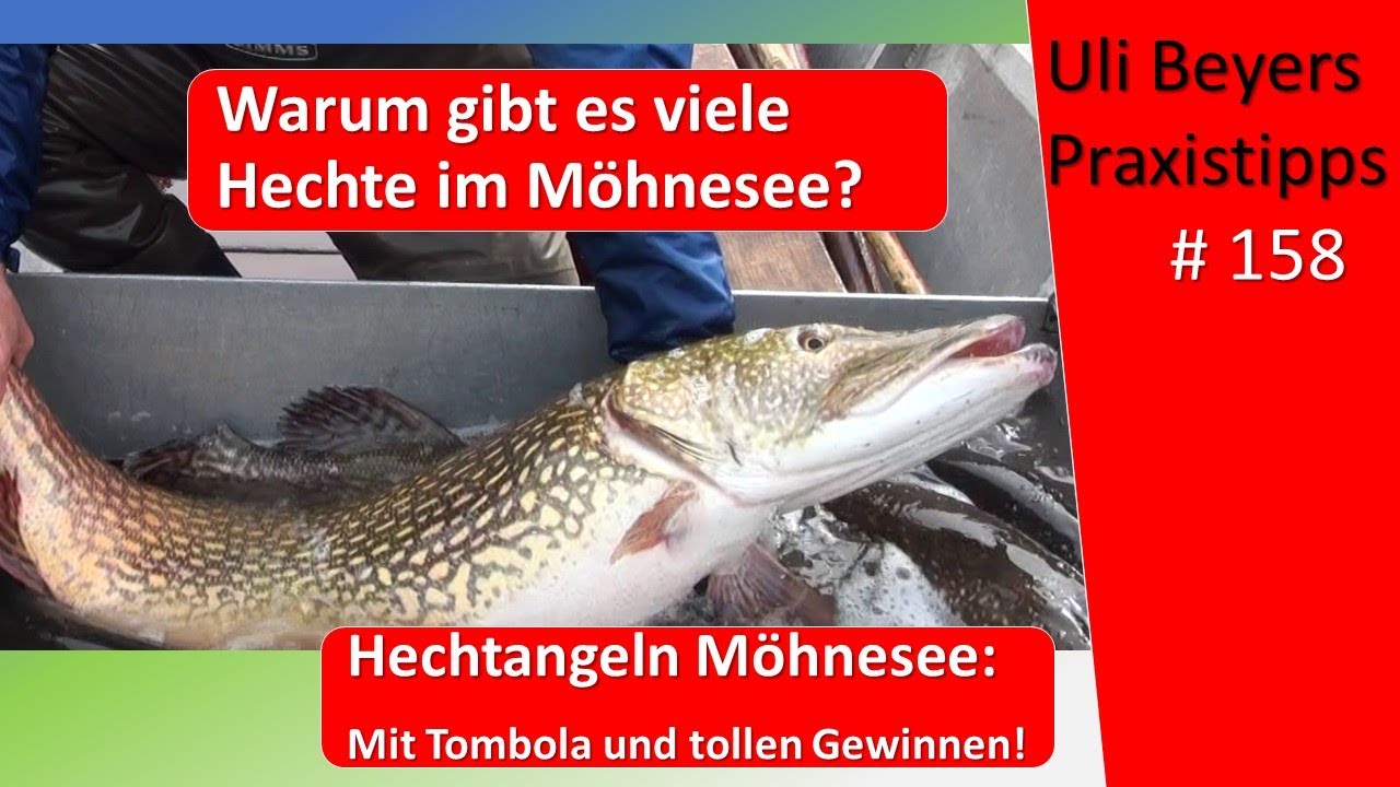 Hechtangeln Möhnesee: Ganz klein und ganz groß bis zum Riesenhecht