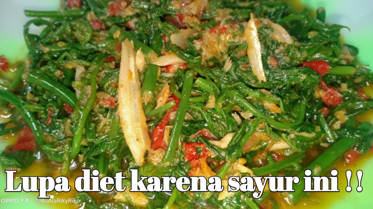 Masak Tumis Pakis Teri Yang Enak