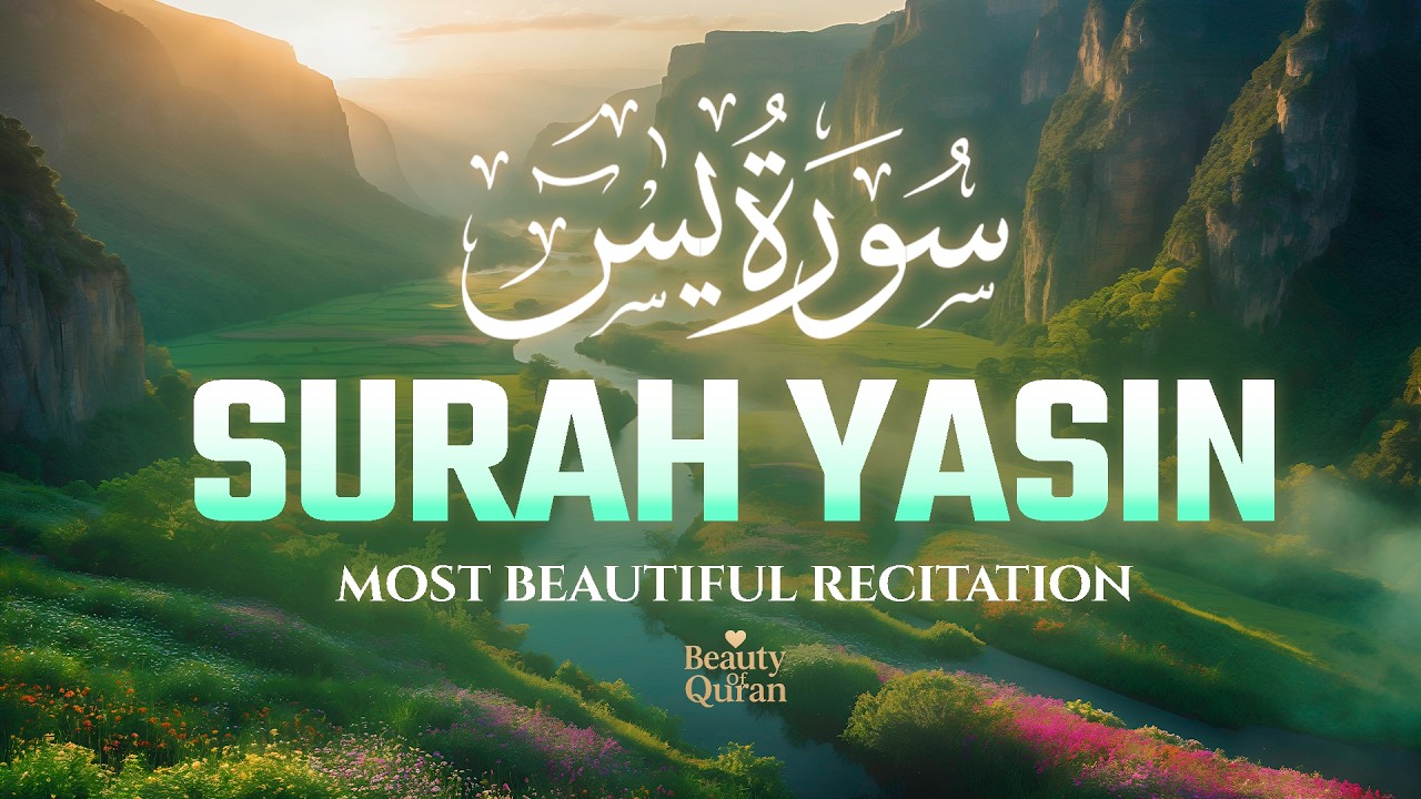Surah Yaseen سورة يس | Ultimate Soothing & Relaxing Recitation for Your Soul by Alaa Aqel #yasin