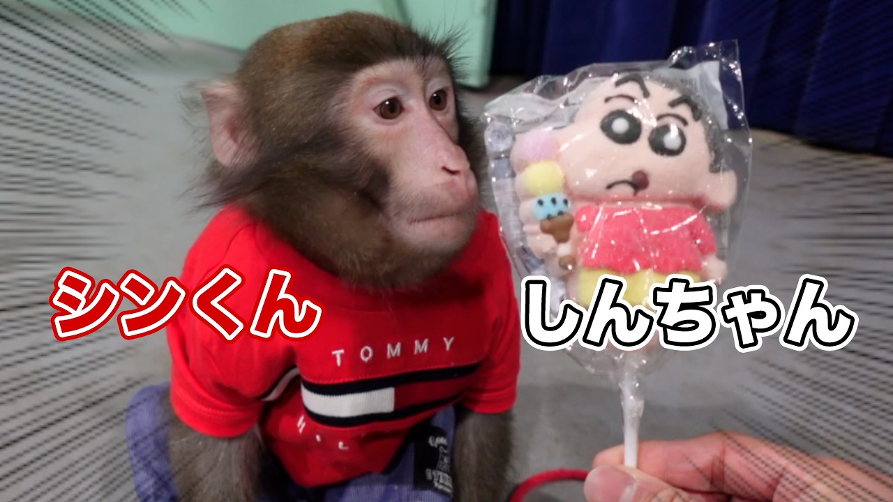 このお菓子は…シンくんの反応が気になって仕方がない！！あげてみよう！