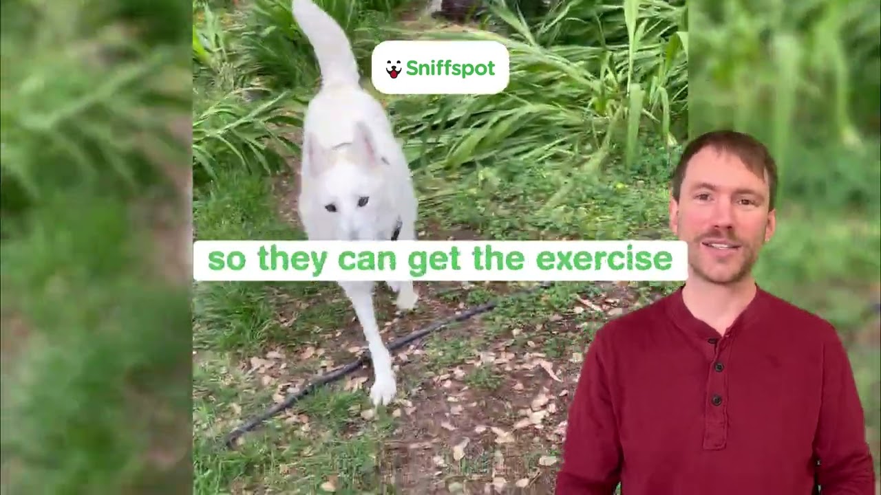 Heard about Sniffspot?
