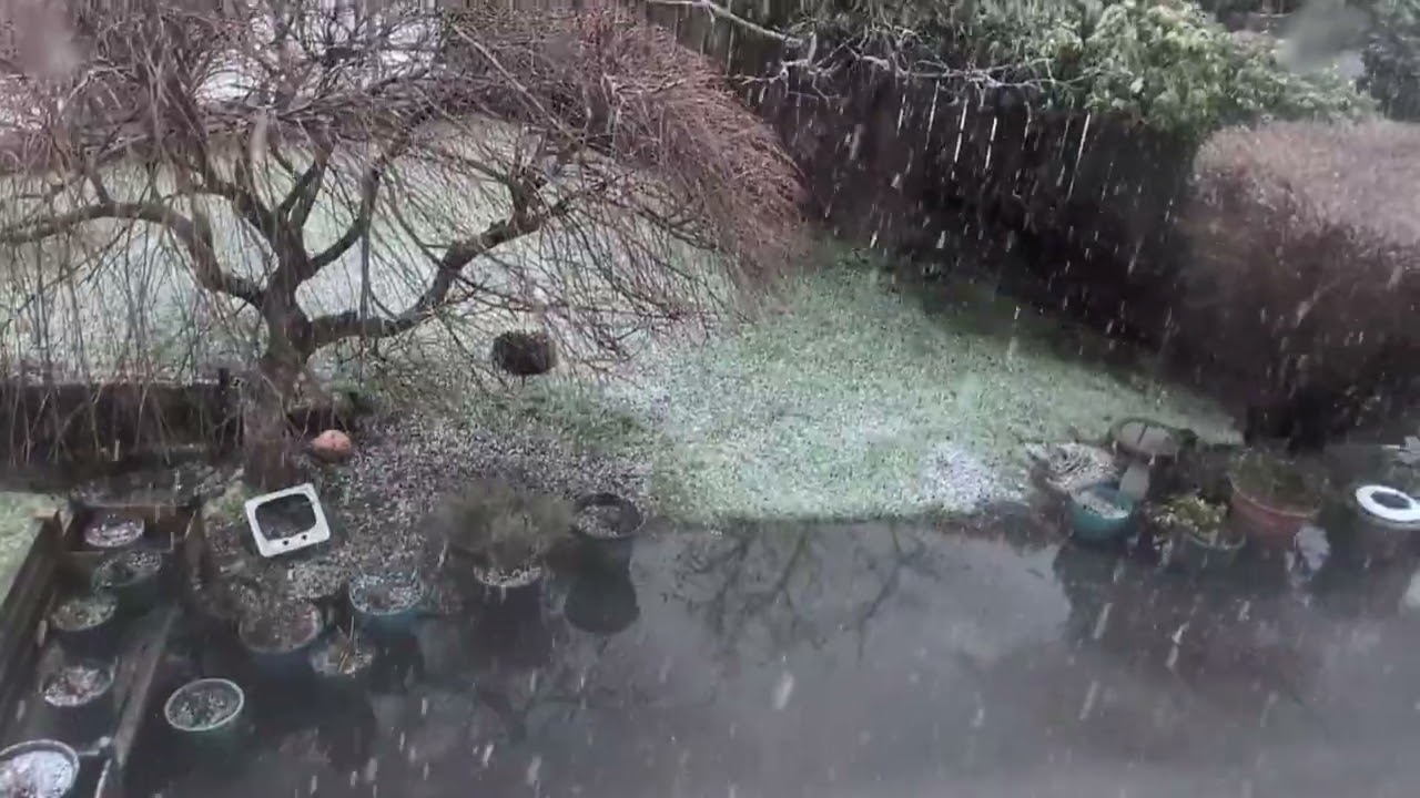 February Snow...
