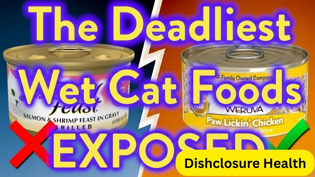 10 Wet Cat Food Brands To AVOID At All Costs! (And Few That Are Safe!)#food #healthandwellness