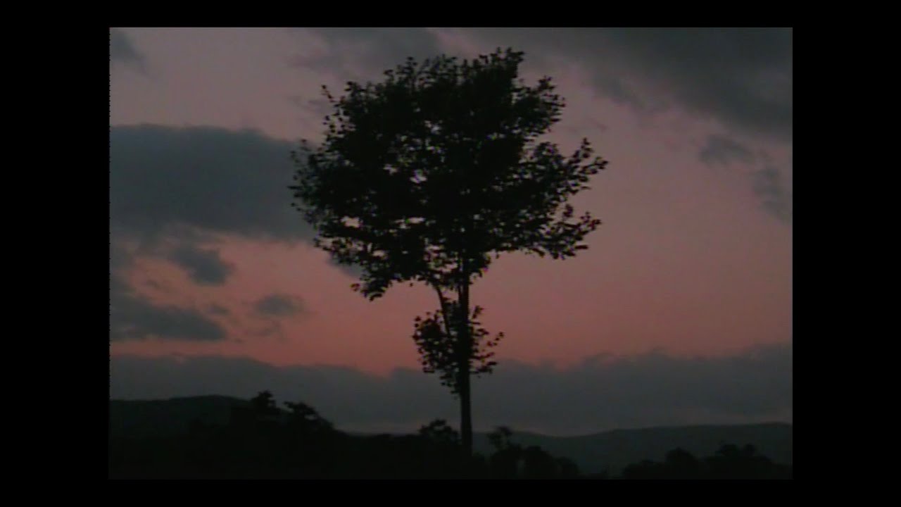 a homecoming | Camcorder