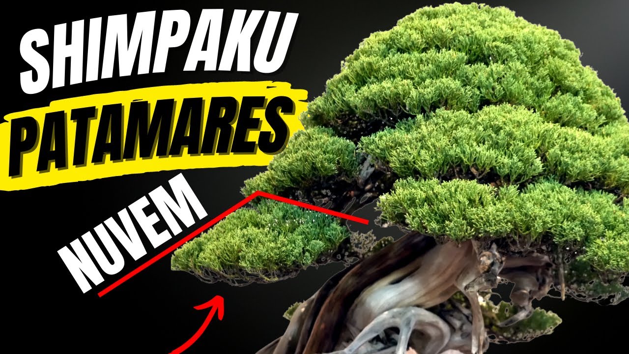 COMO MONTAR PATAMAR DE UM JUNIPERUS