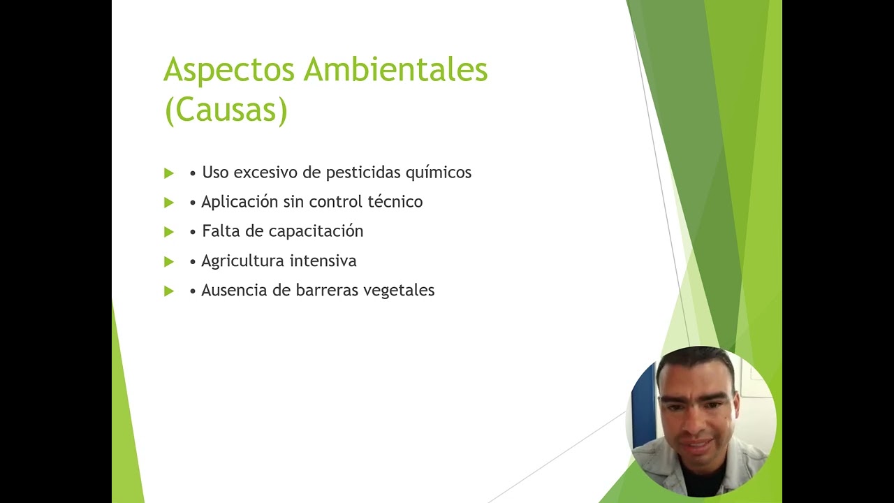 Presentación Fase 1 Industria Avena Ángel Viloria