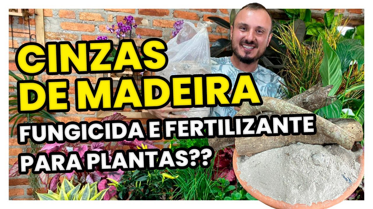 CINZAS DE MADEIRA | aprenda como utilizar esse FUNGICIDA e FERTILIZANTE