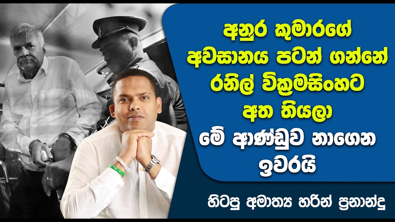 අනුර කුමාරගේ අවසානය පටන් ගන්නේ රනිල් වික්&zwj;රමසිංහට අත තියලා  | Ranil wickremesinghe | Harin fernando
