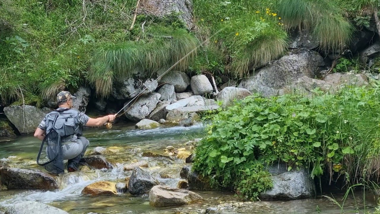 Fario Stupende a Ninfa della Prima   