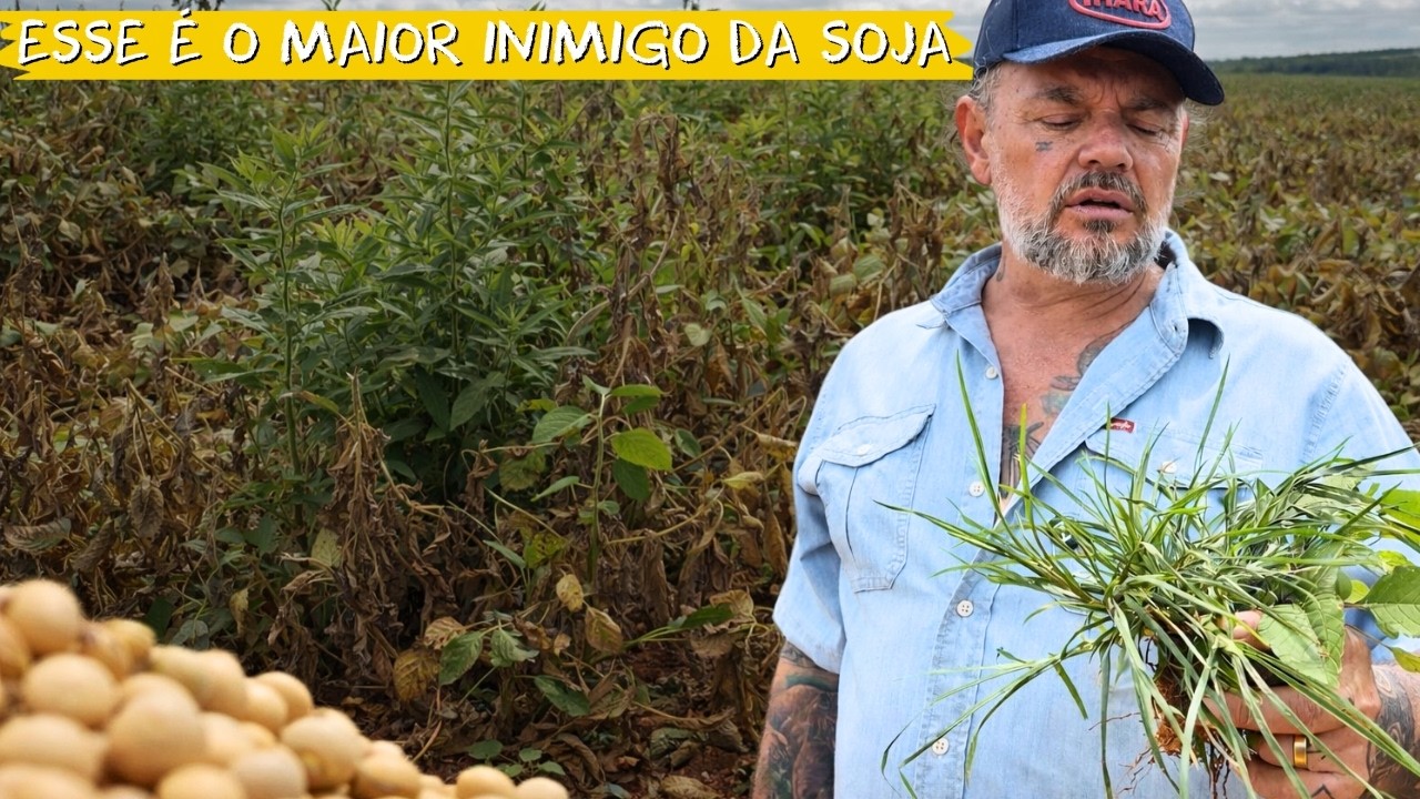 🌱😱 ESSE “MATINHO” ROUBA 15% DA SUA COMIDA!