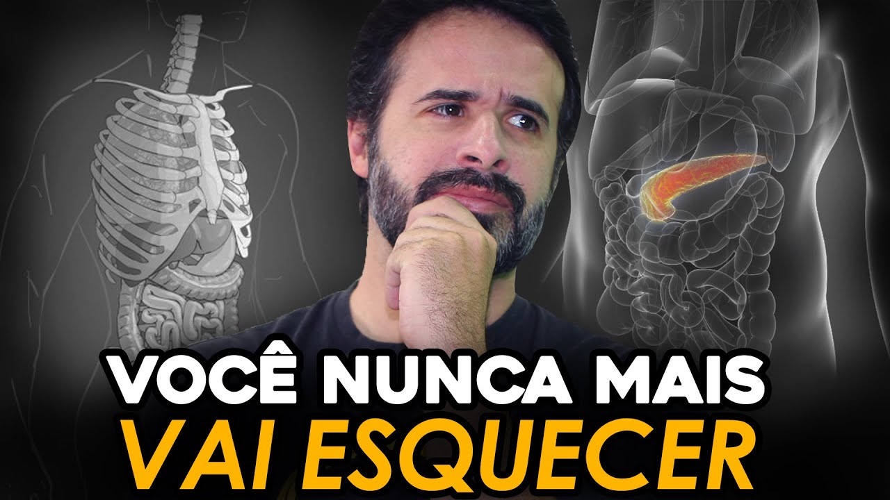 VASCULARIZAÇÃO DO PÂNCREAS: VOCÊ NUNCA MAIS VAI ESQUECER!