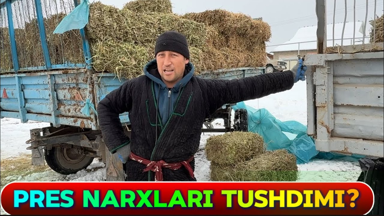 PRES NARXLARI SURXONDARYODA