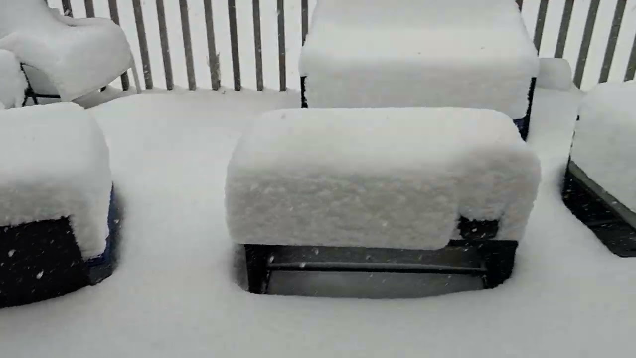 CANAPHONIC RECORDS / SNOWED IN / FOOT OF SNOW AND STILL SNOWING