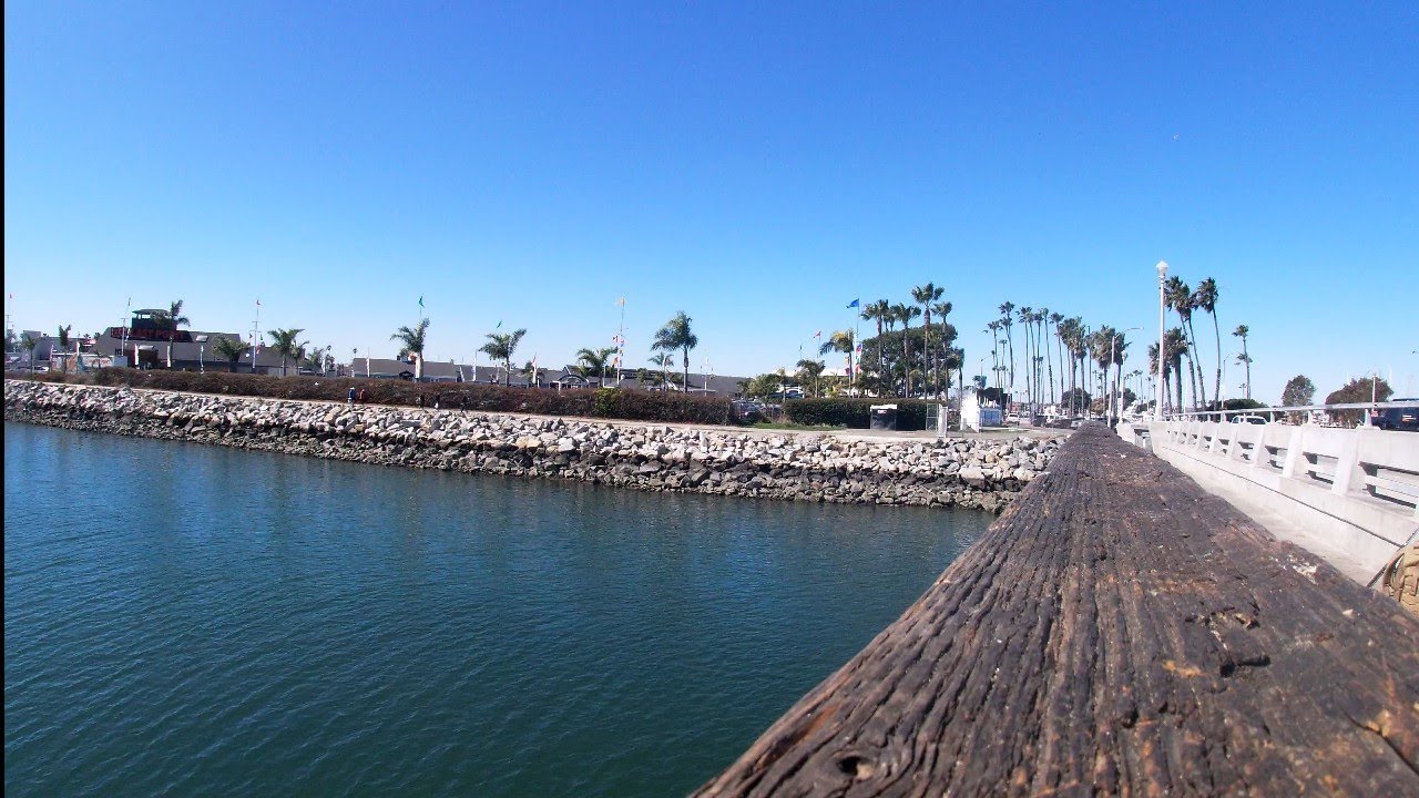 Underwater Tour of the Fishing Pier on Marina Dr, Where San Gabriel River Meets Seal Beach
