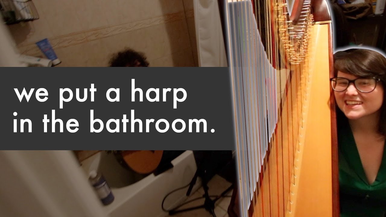 BATHROOM HARP! (Ben Levin's Apartment Sessions)