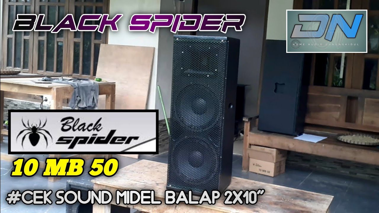 Speaker 2x 10