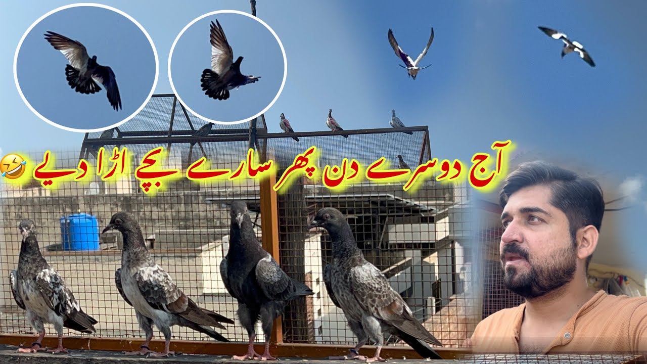 Aj dosry din phir sary bachy uda diye 😳🤣