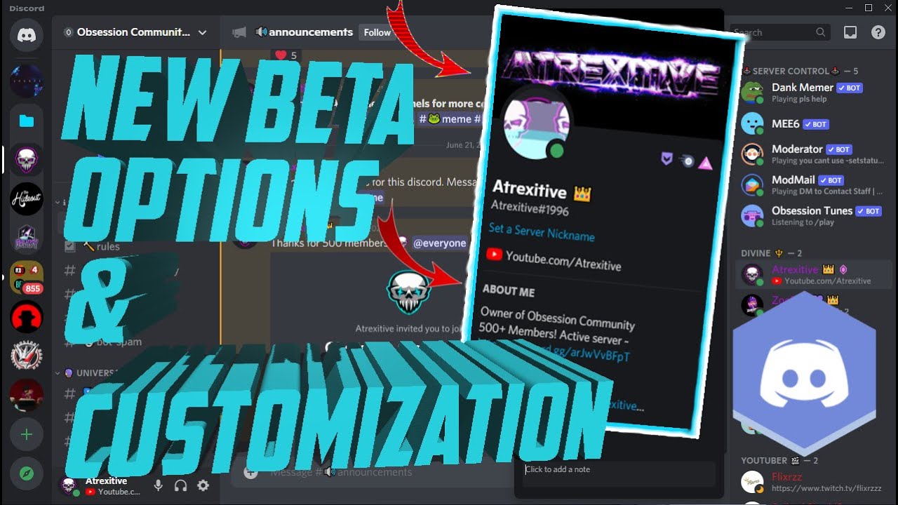 How to GET Discord BETA Customizations! EASY