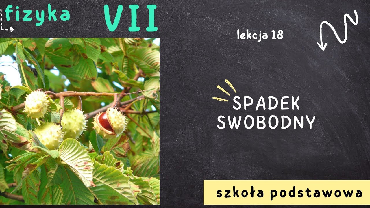 Fizyka klasa 7 [Lekcja 18 - Spadek swobodny]