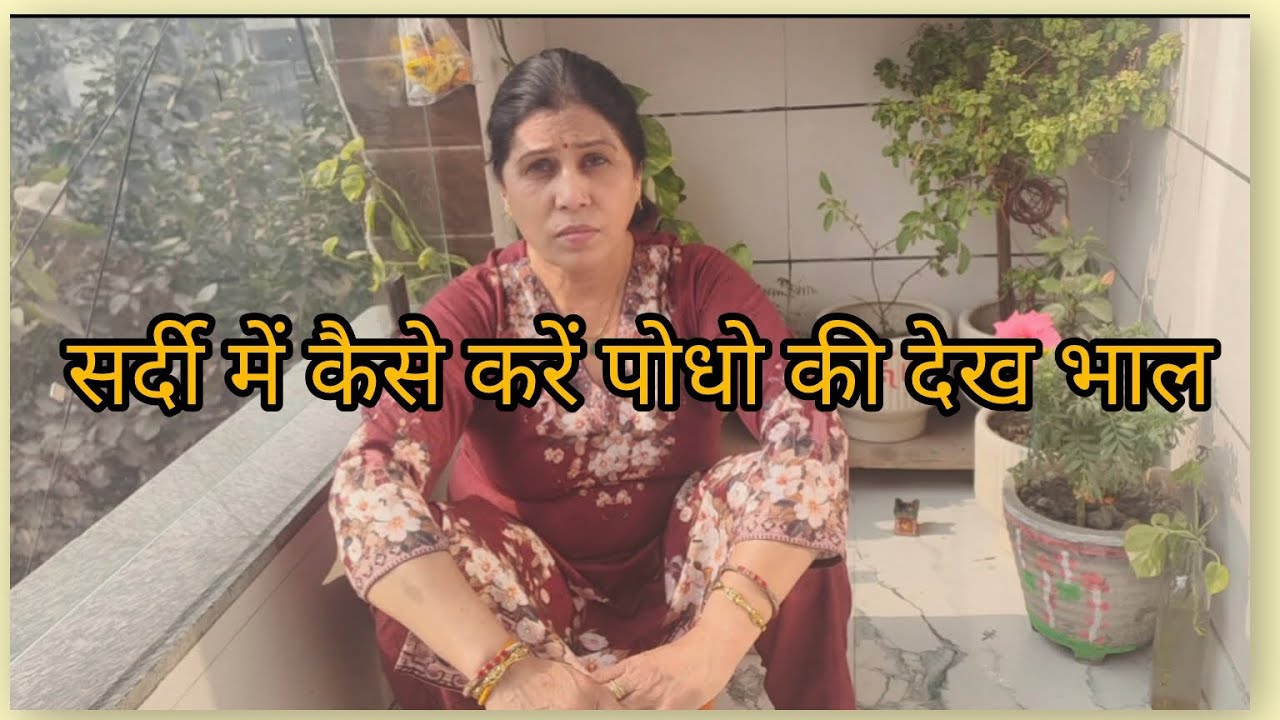 सर्दी आते ही बढ़ जाते हैं काम |🏡घर छोटा हो या बड़ा | पोधो को भी धूप दिखाई| किसकी जगह बदल दी| 🪴💐🍲🏡