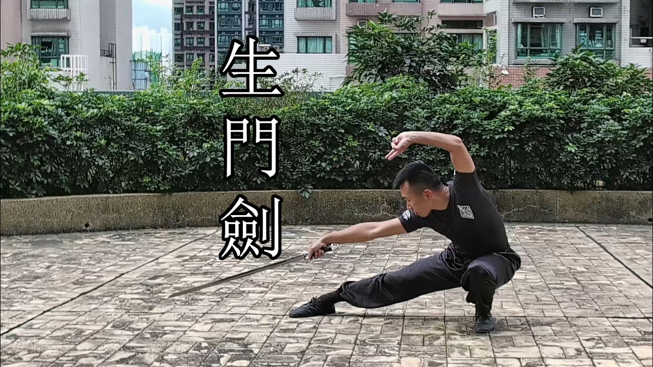 生門劍 - 嶺南洪拳虎鶴派 | 4k60 | Sung Moon Gim / Life Gate Sword
