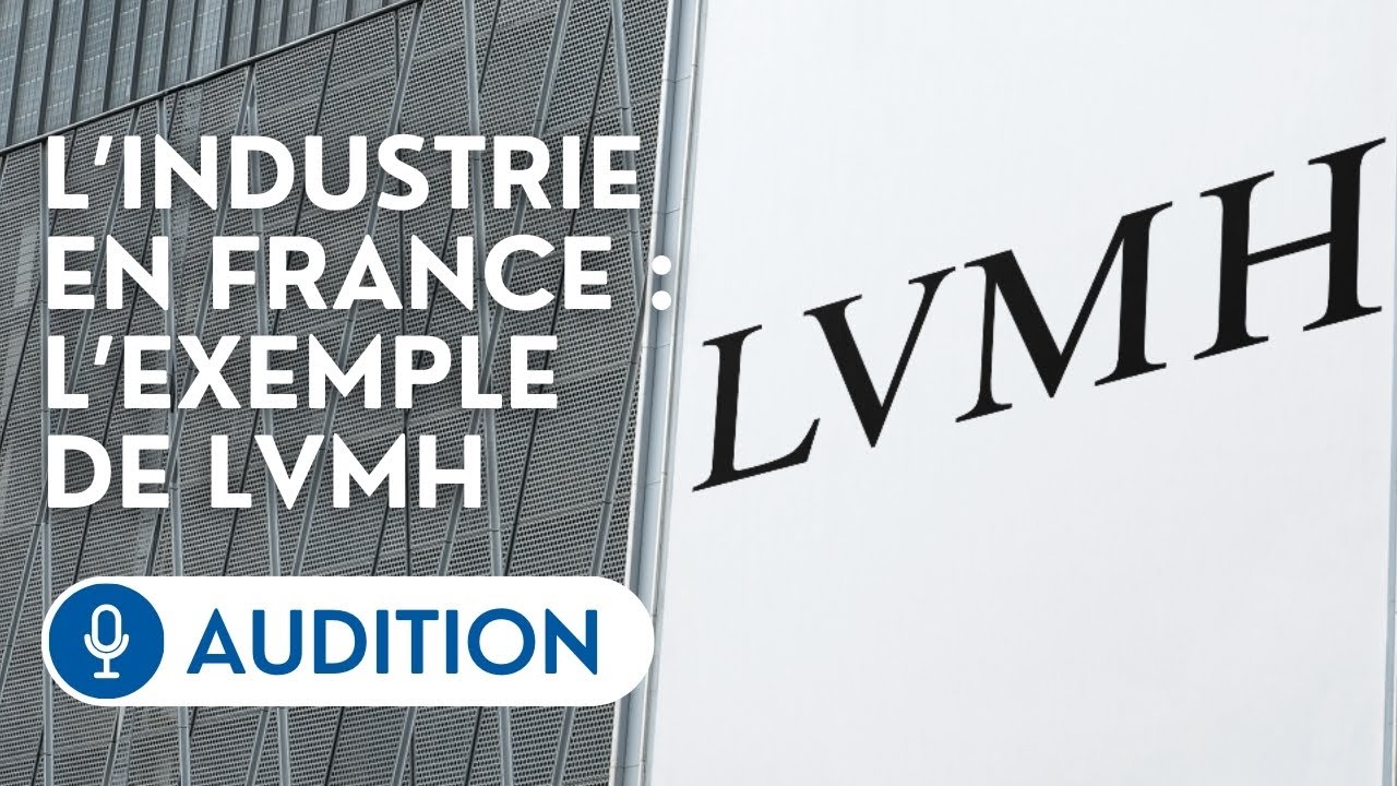🔴 Audition de représentants de LVMH sur les freins à la réindustrialisation de la France