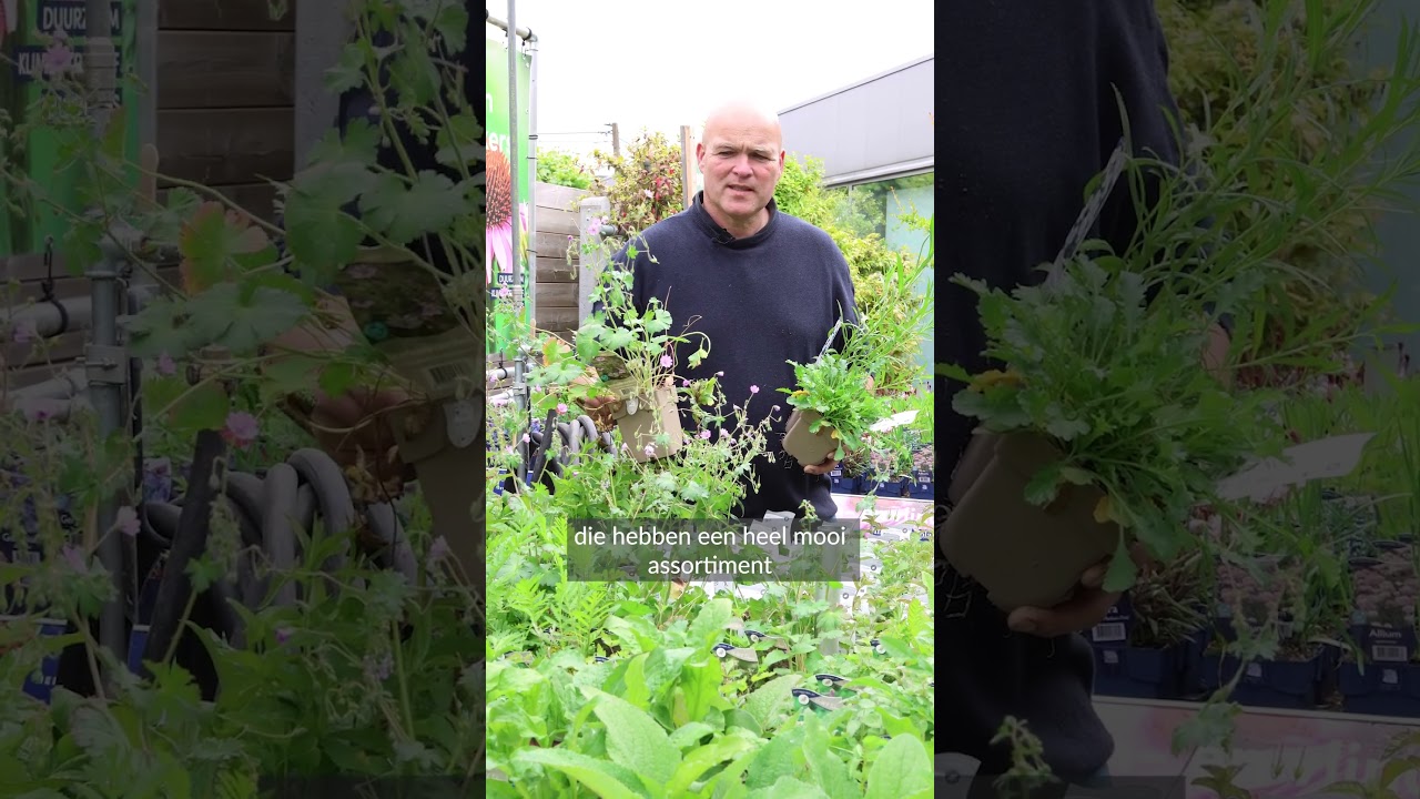 Ontdek onze inheemse planten