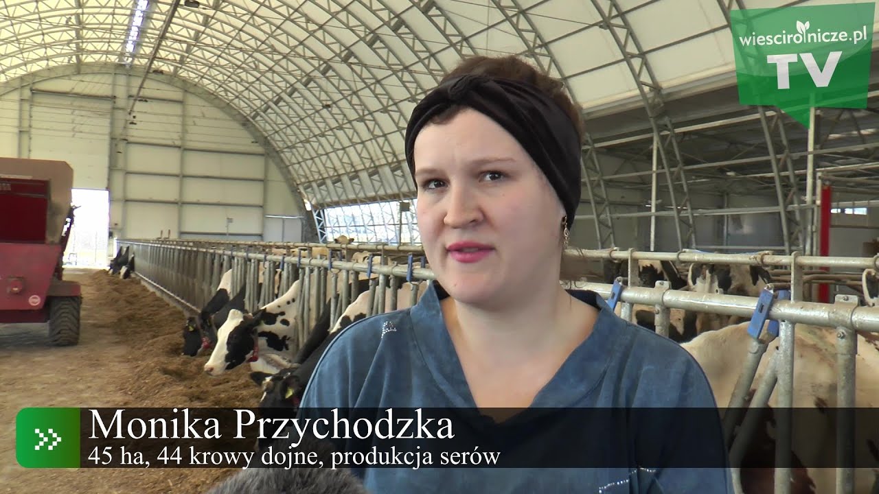 Wybudowali nietypową oborę i produkują sery
