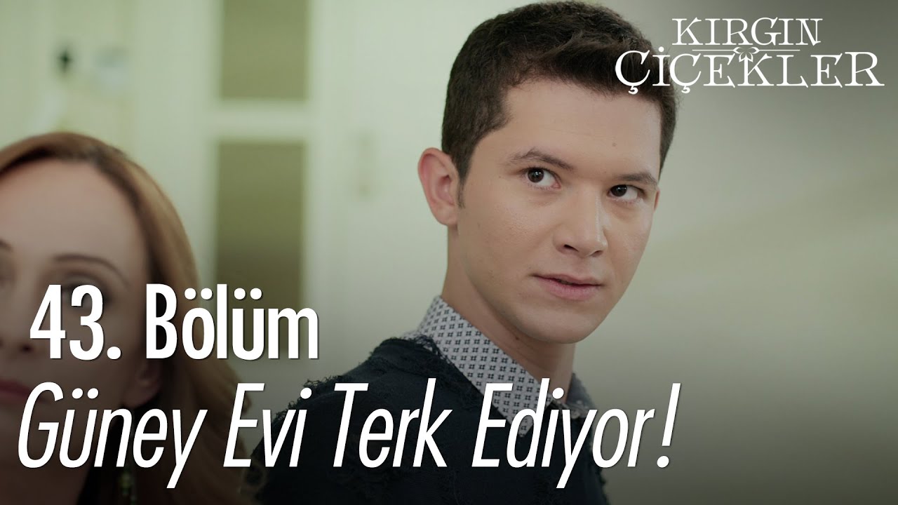 Güney evi terk ediyor! - Kırgın Çiçekler 43. Bölüm