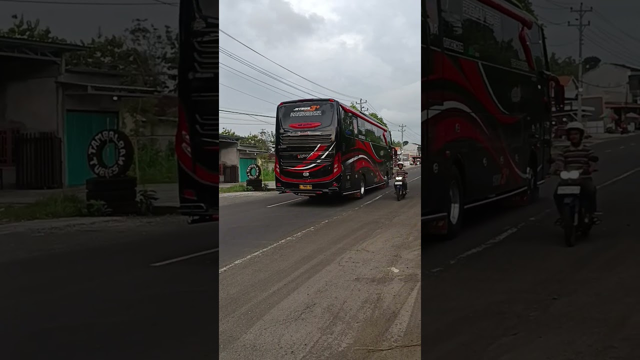 #huntingbasuri #huntingtelolet #busmania #basurimania #buspariwisata #basuritelolet