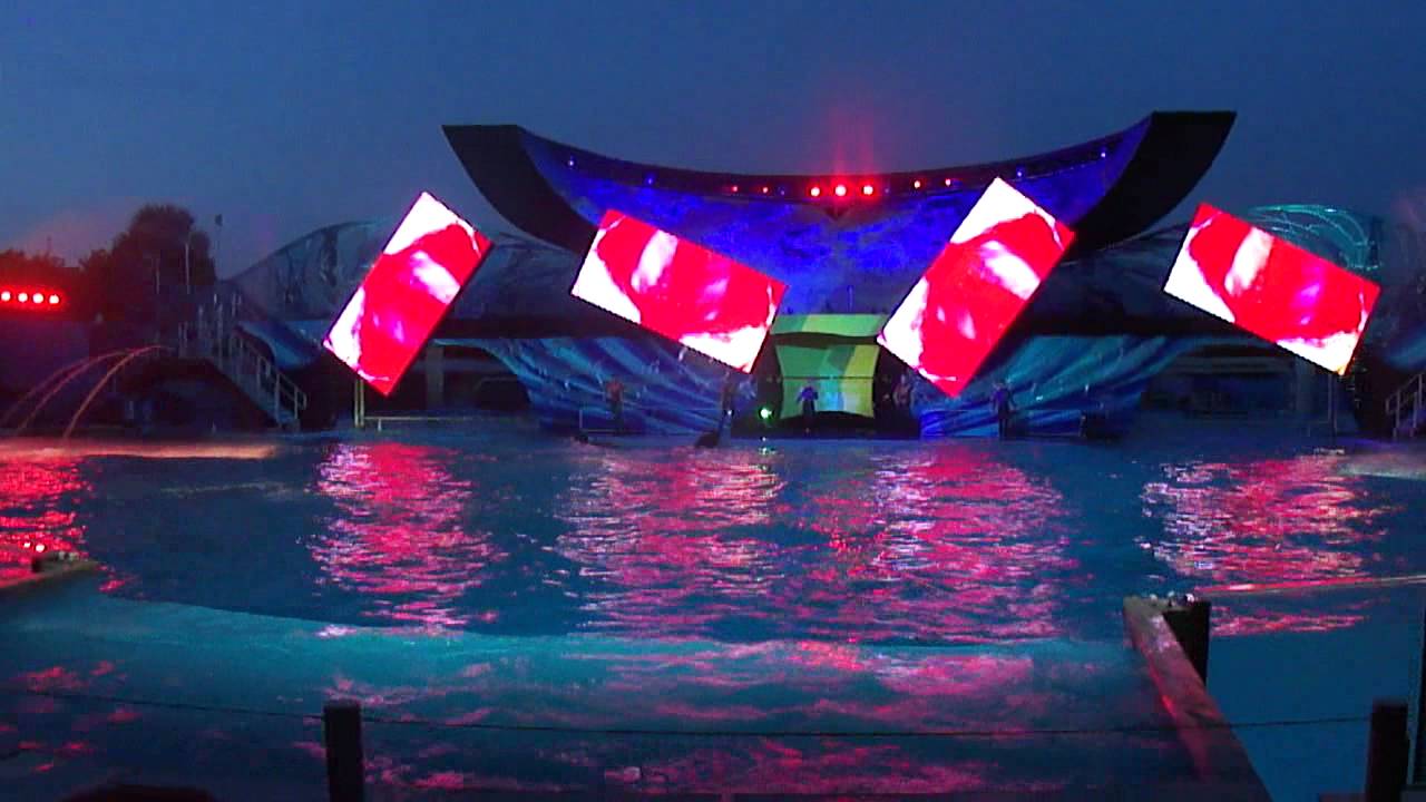 Shamu Rocks!!
