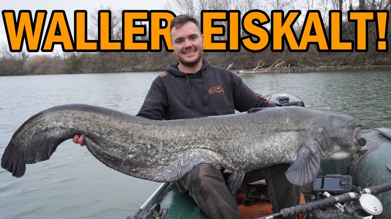 Winter-Wels: Die ultimative Taktik für fette Fänge!🐋