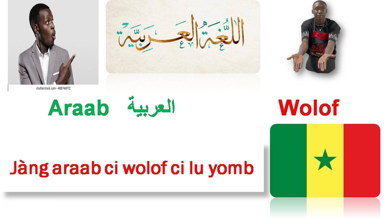 Jàng Araab/Wolof //Arabic - Wolof// Lesson 4 _ Expressions You Need to Know in Arabic and Wolof