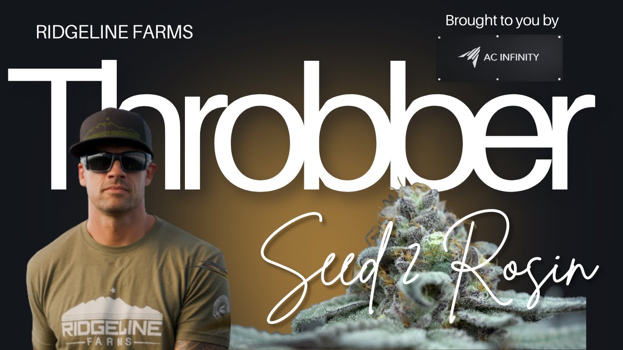 SEED TO HARVEST THROBBER FROM RIDGELINE FARMS