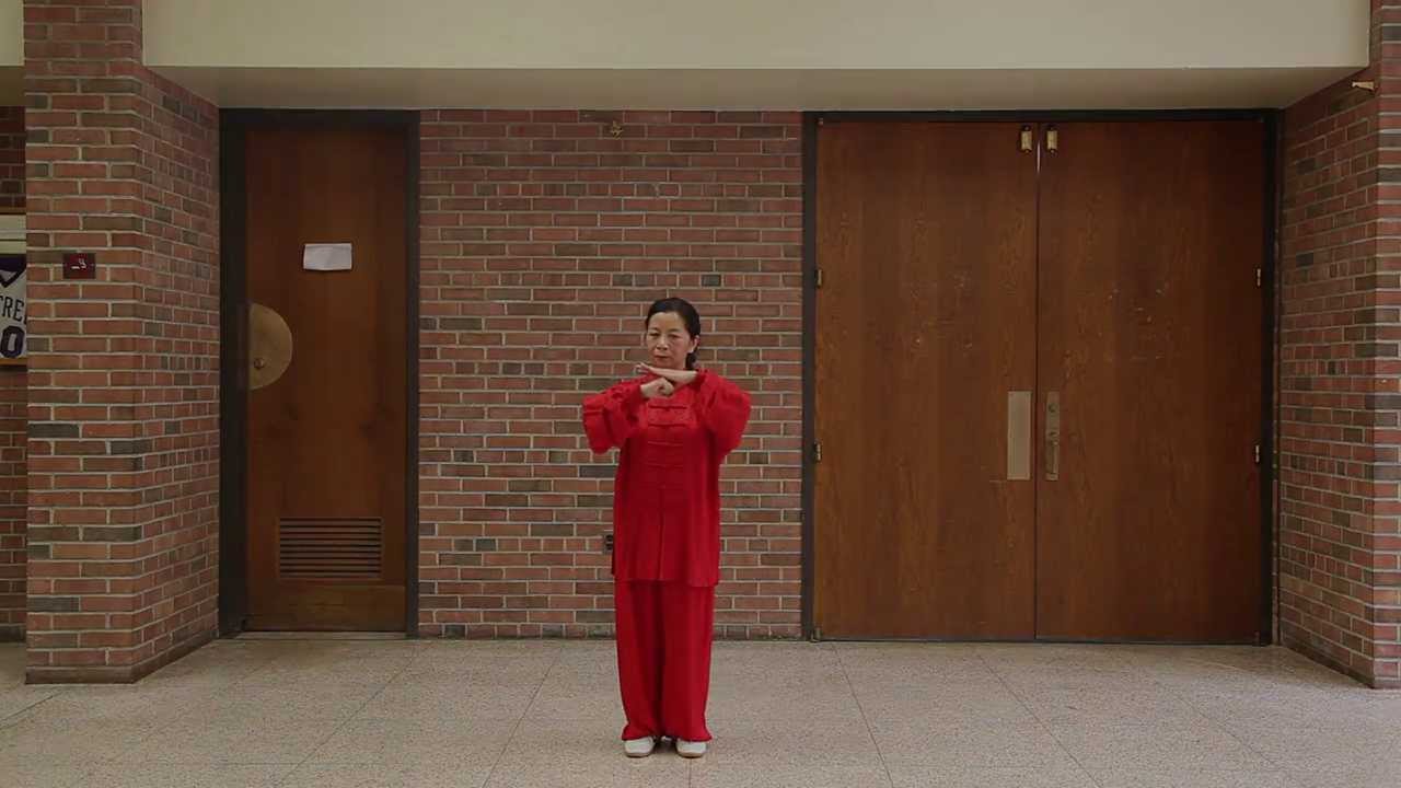 Swimming Dragon - Guifang Liu Front View Demonstration