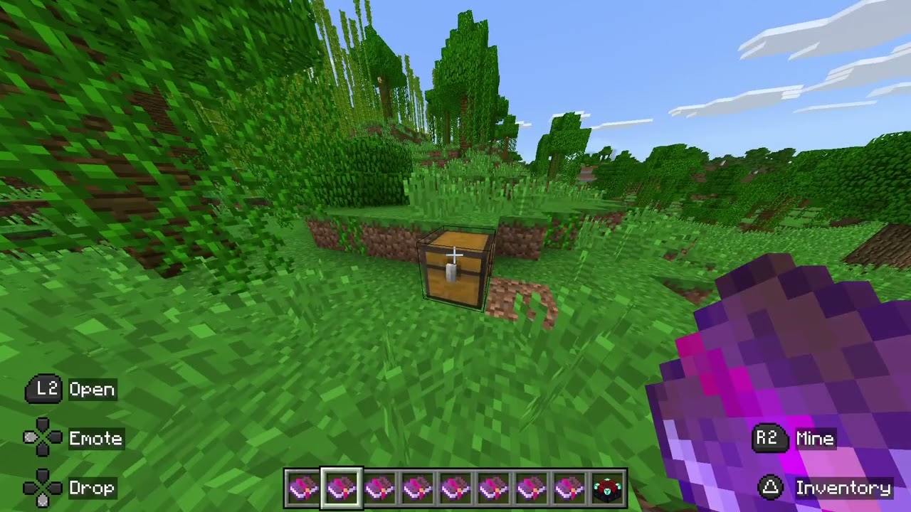 Minecraft_20260213142608