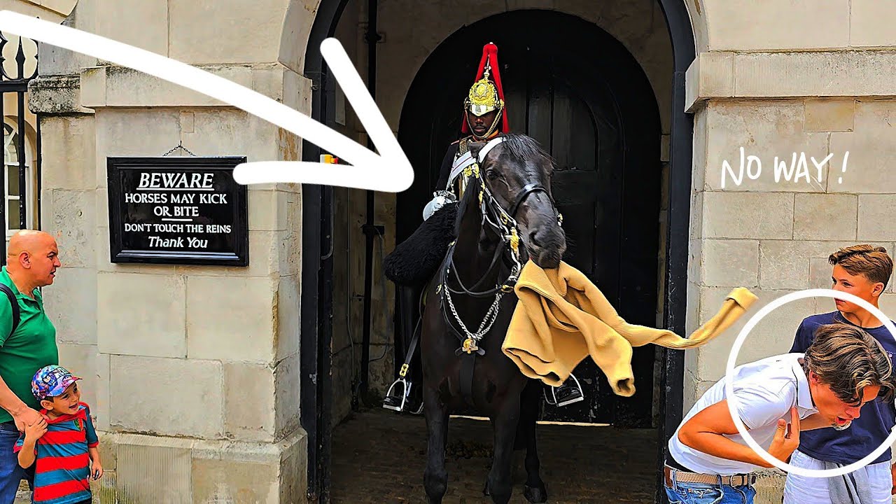 Horses do not like tourists disrespecting the King's Guard at Horse Guards, ORMONDE DAY